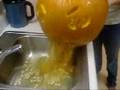 videos de Carved Pumpkin vomiting