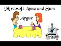 Mircosoft Sam and Anna