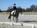Dawn and Victory at the Training level 3 day event