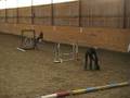 videos de Agilityklass 1 varbergsbk 15/11