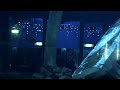 Into the Fish Tank View no.9 (Widescreen HD) Into the Fish Tank View no.9 (Widescreen HD)