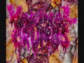 Vaginal Bread Crumbs - Excessive Flatulence