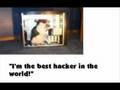 videos de Cat Mania