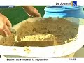Immobilier et petit cochon : la maison en paille écologique
