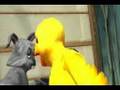 KUNG FU BUNNY TRAILER