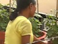 House Cleaning