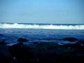 florida 082.MP4