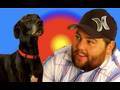 MY DOG HAS AN AGENT!