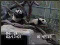 Su Lin & Bai Yun - (Part II)