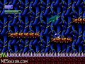 nesguide.com - captured from an actual nes console and cartridge.