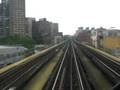 The Rooftops of Brooklyn