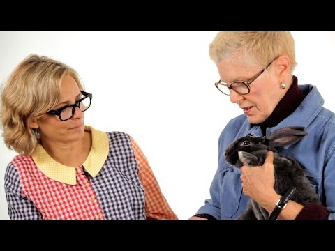 About Amy Sedaris & Mary E. Cotter | Pet Rabbits
