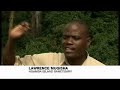 Uganda fights to save chimpanzees - 09 Jul 08