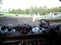videos de Matt Carr 1938 Ford Mud Bog Truck Custom with BBC 468