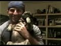 cute doggy ruins video surprise!!!! cute doggy ruins video surprise!!!!