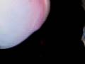 videos de Nicolas Y Agustin