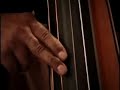 plays Alter Ego Double Bass www.alter-ego.it