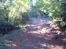 BANDON DUNES GOLF INVESTMENT LOT BANDON DUNES GOLF INVESTMENT LOT