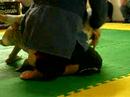 nacho tirando kimura