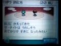 ポケウォーカー　きれいな海辺をサーナイトと散歩