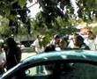 peleas callejeras del cetis 112