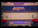 Christmas Music - Happy Birthday Jesus by 5 year old Bailey