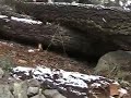 rocks in roots