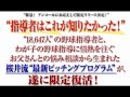 しょうねん野球を子どもに教える桜井イズム DVD