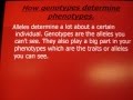 Genotypes and Phenotypes