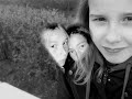 S�brad . [ kk ]