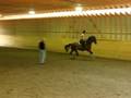 Wili 08-19-08 lesson