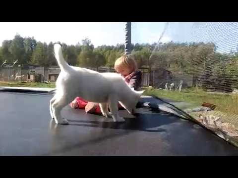 YouTube Preview Image