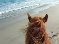 A Febbraio in Sardegna si va a cavallo in spiaggia! A Febbraio in Sardegna si va a cavallo in spiaggia!
