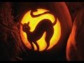 Samhain / Halloween