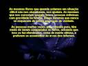 Amigos como Flores.wmv Amigos como Flores.wmv