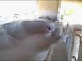 Second Video Second Video