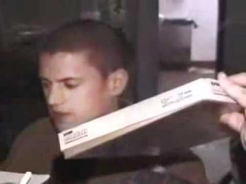 wentworth miller