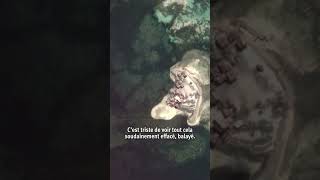 « Notre terre disparaît » [extrait]