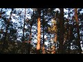 El Pital - El Salvador (54).mpg