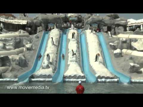 Collection - Water Parks