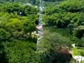 Descenso Telef�rico