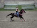 Dennis Barrel Racing Dennis Barrel Racing