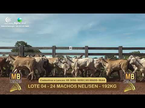 532� LEIL�O VIRTUAL MB LEIL�ES