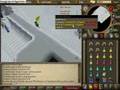 Commander Zilyana (Solo Guide) W/Hilt Drop