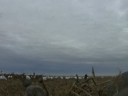 snow goose hunting saskatchewan