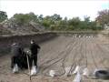 Mackay Advanced Energies Geothermal Part 1