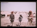 البادية السورية   قصيدة ياعيال