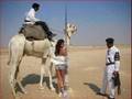 ميت أبو شخة