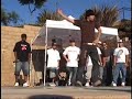 Battle Monkeys Trailer Part 2