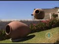 SACHACA